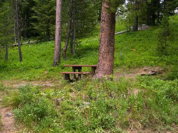 BEAVER CREEK CAMPGROUND photo 4