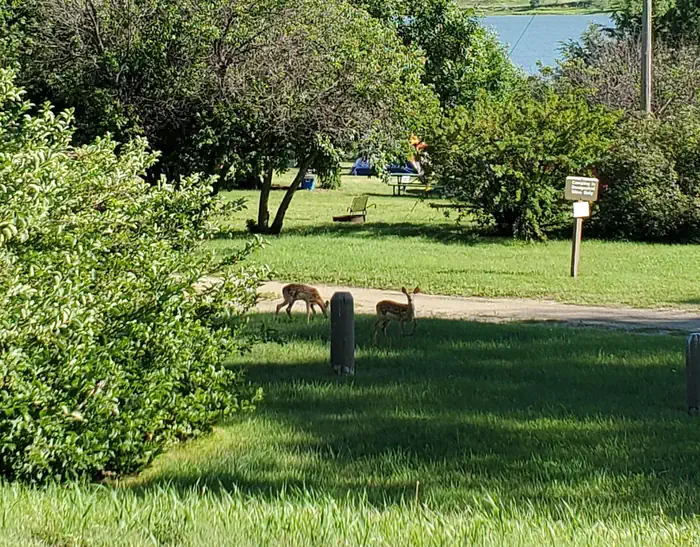 BEAVER CREEK RECREATION AREA photo 4