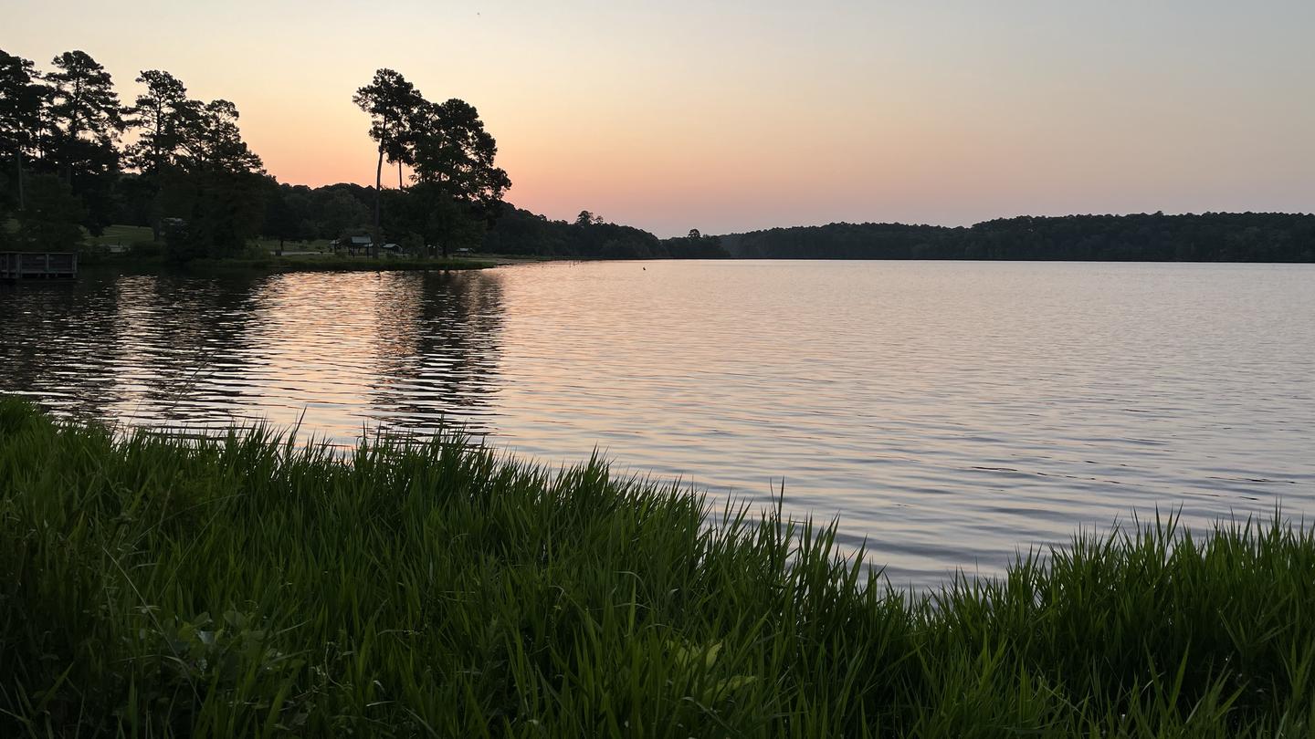 Beaver Dam Campground (Kisatchie National Forest, LA) photo