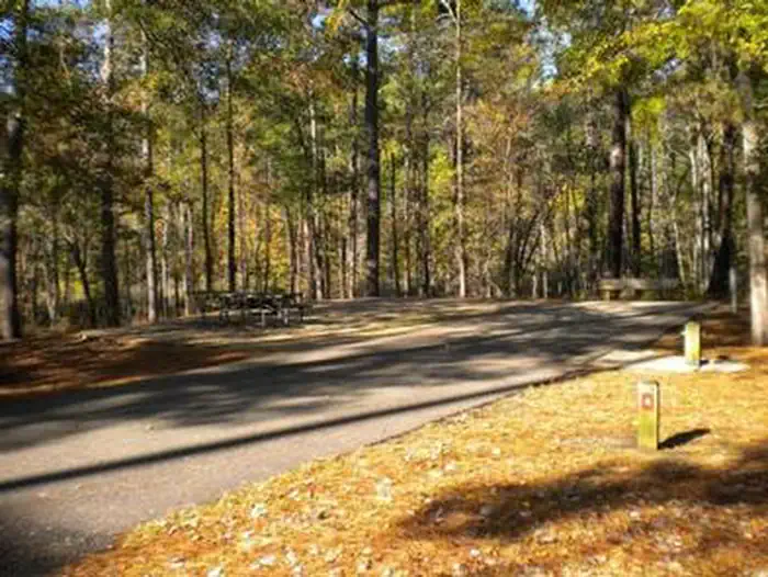 Beaver Dam Campground (Kisatchie National Forest, LA) photo 5