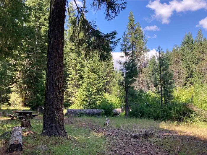 Beaver Dam Group Campground photo 3