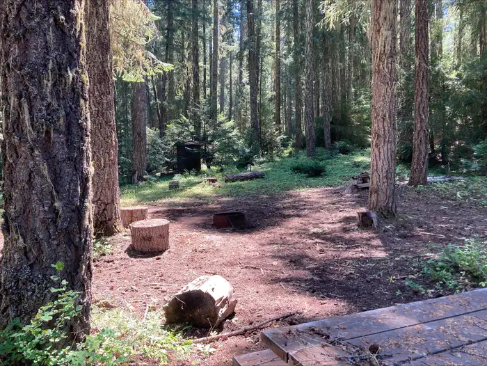 Beaver Dam Group Campground photo 4