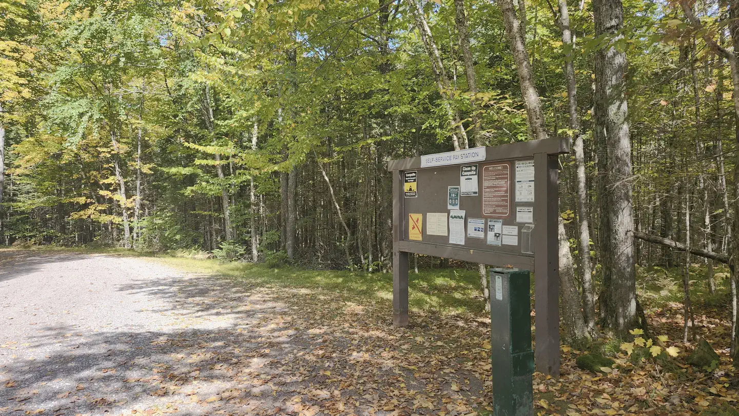 Beaver Lake (Chequamegon-Nicolet NF, WI) photo 3