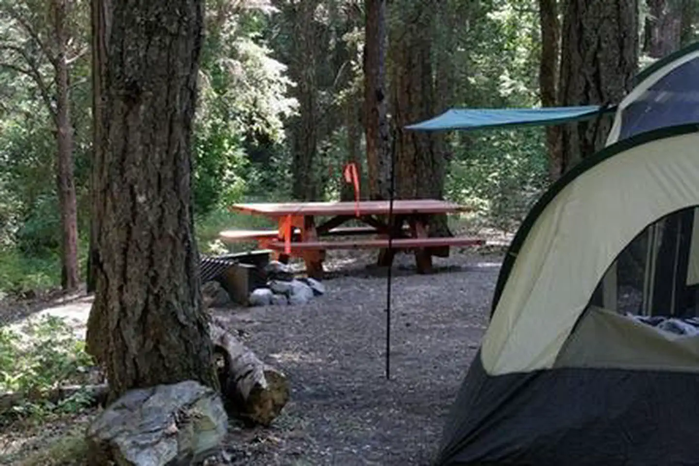 Beaver Sulphur Group Campground photo 3