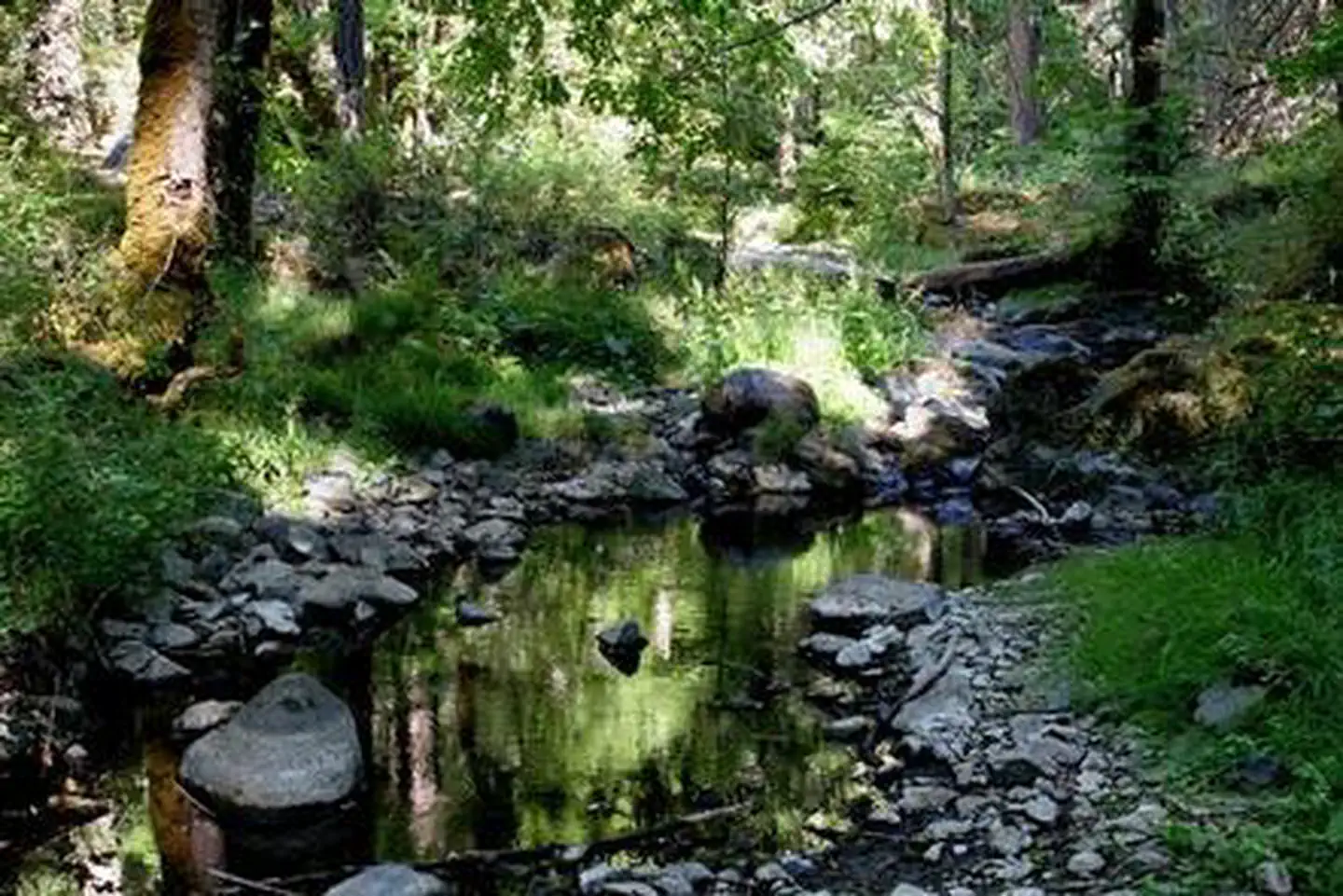 Beaver Sulphur Group Campground photo 4