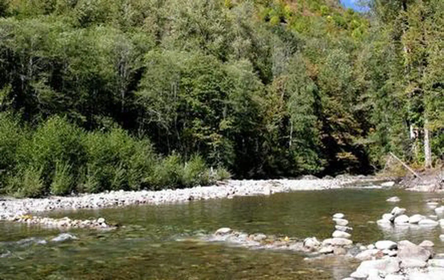 Beckler River Campground photo 2