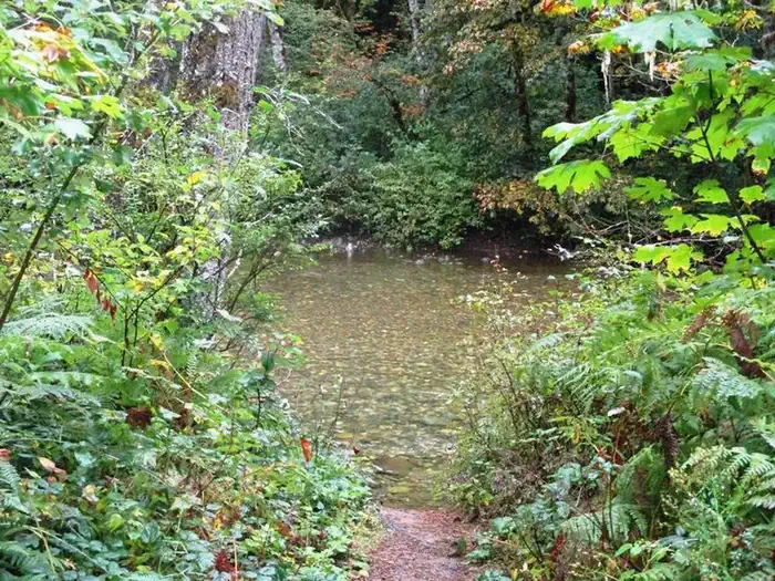 Beckler River Campground photo 3