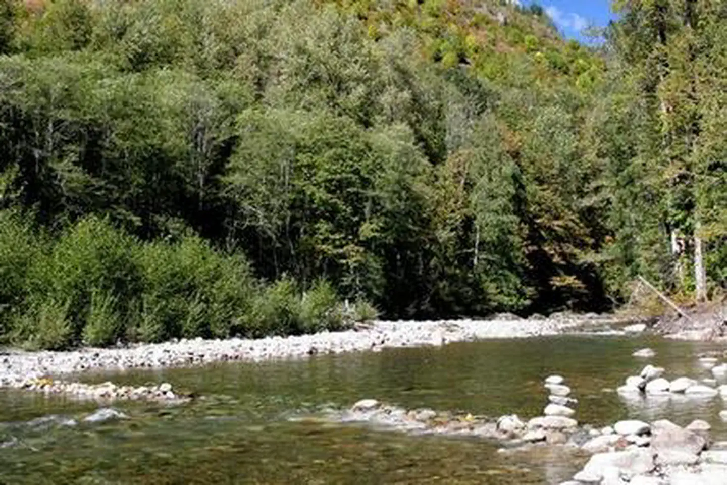 Beckler River Campground photo 4