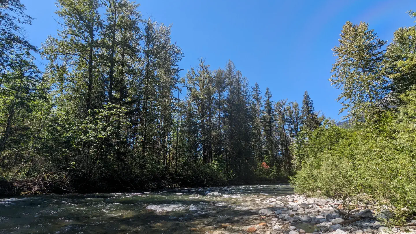 Bedal Campground photo