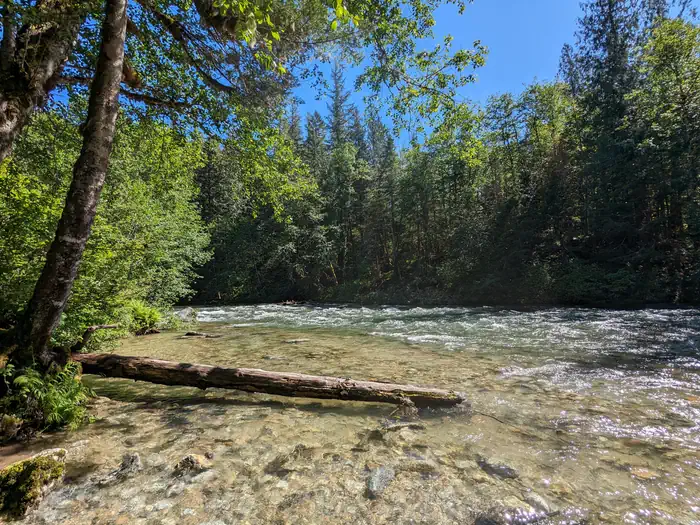 Bedal Campground photo 3