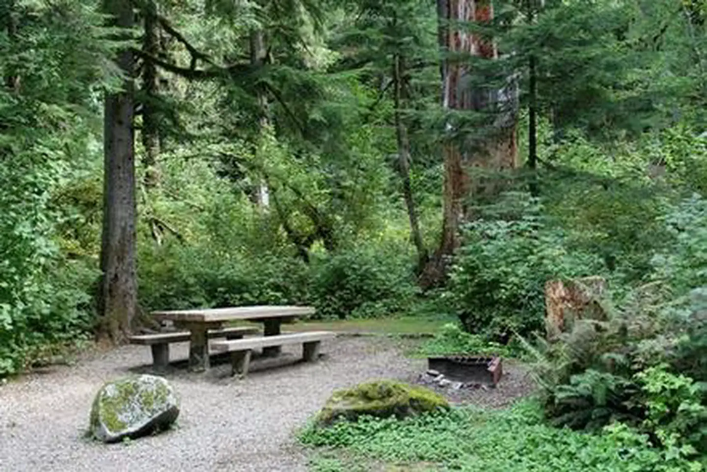 Bedal Campground photo 4
