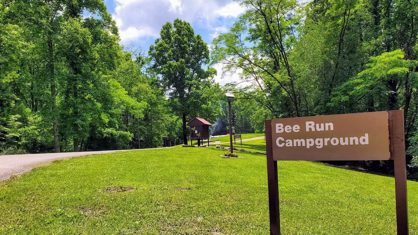 Bee Run Campground photo