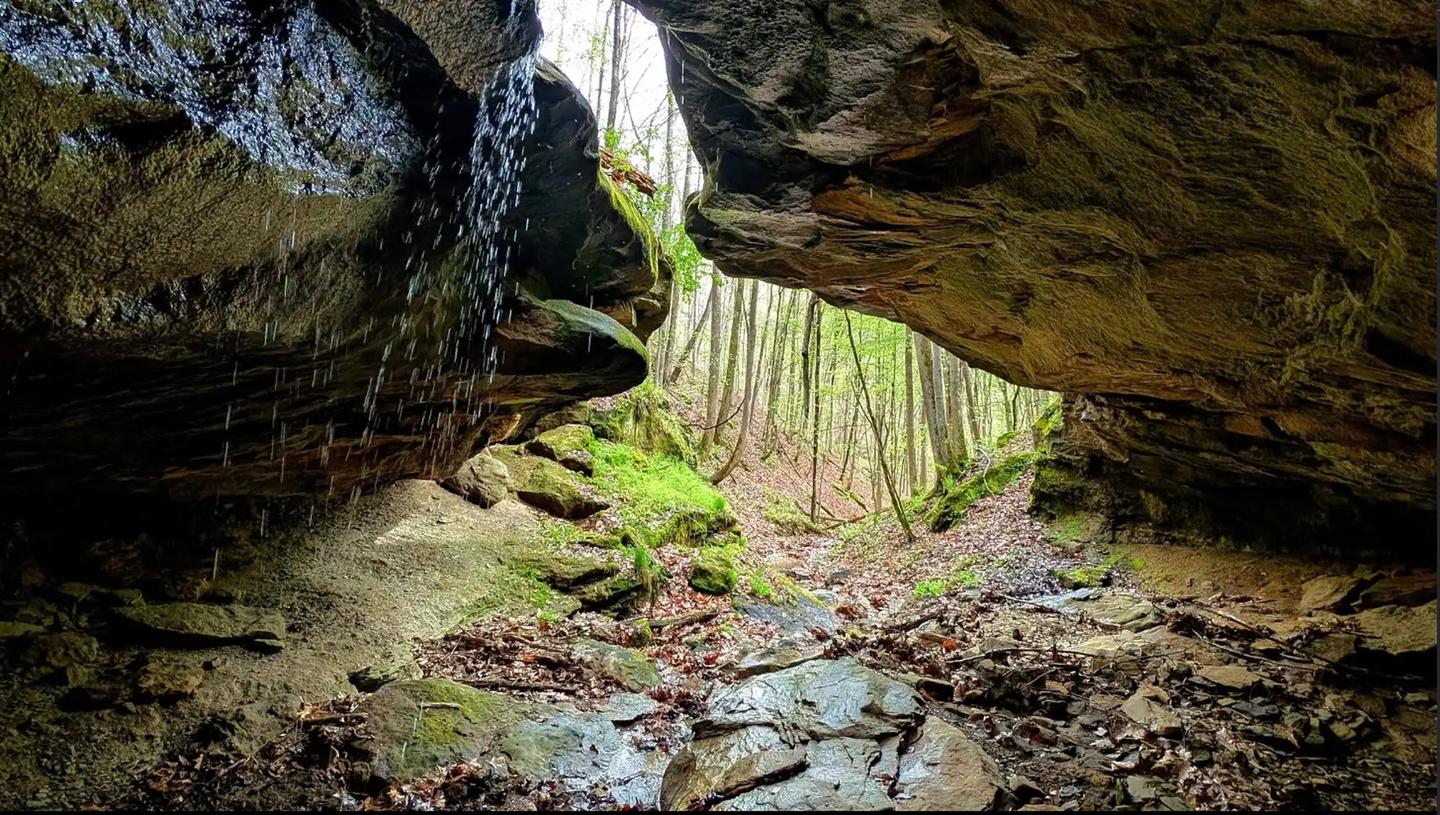 BEECH FORK SHELTERS photo 2