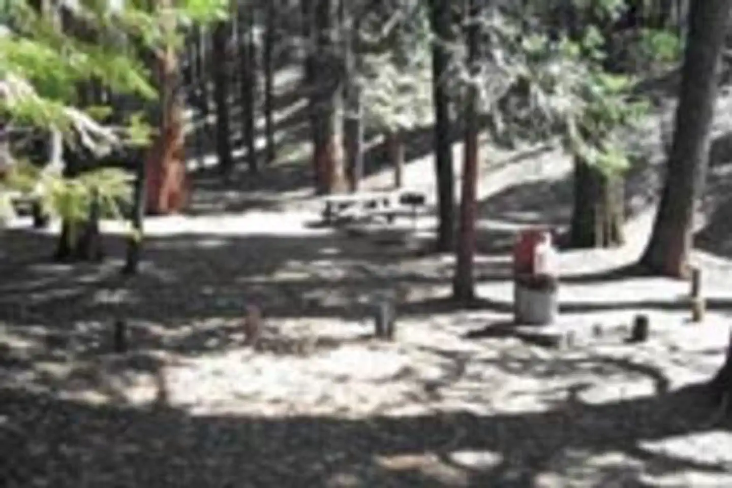 BELKNAP photo