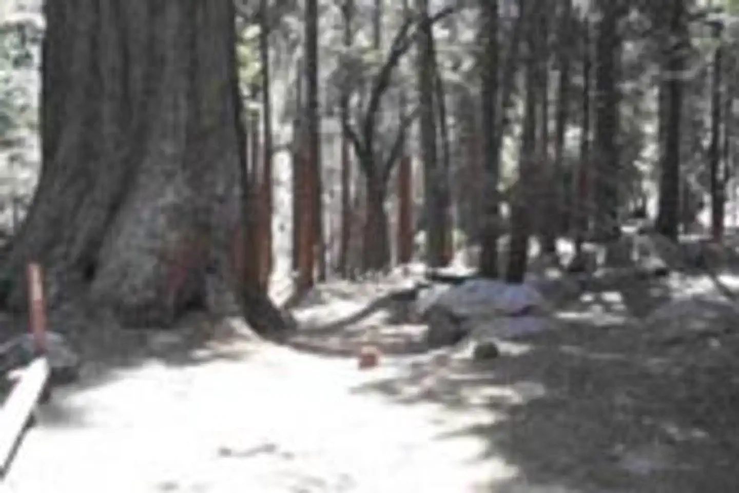 BELKNAP photo 2