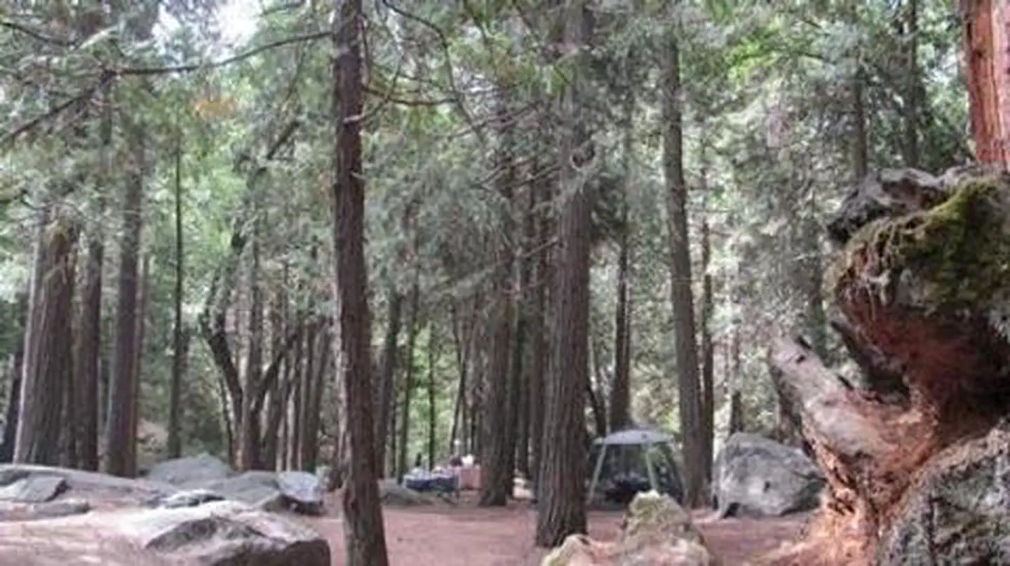 BELKNAP photo 3