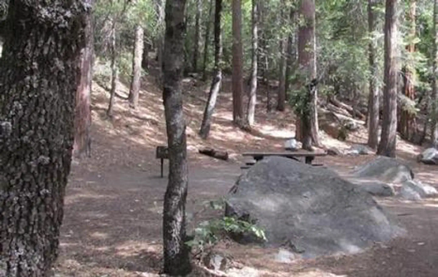 BELKNAP photo 4