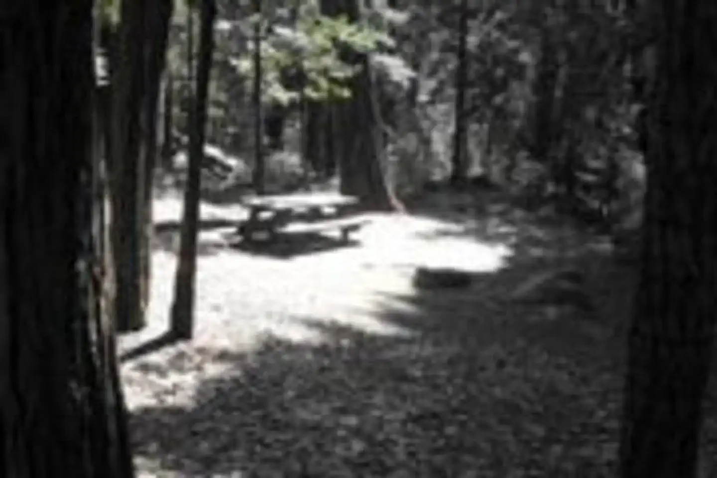BELKNAP photo 5