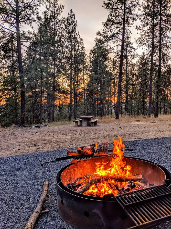 BELL BAY CAMPGROUND photo 3