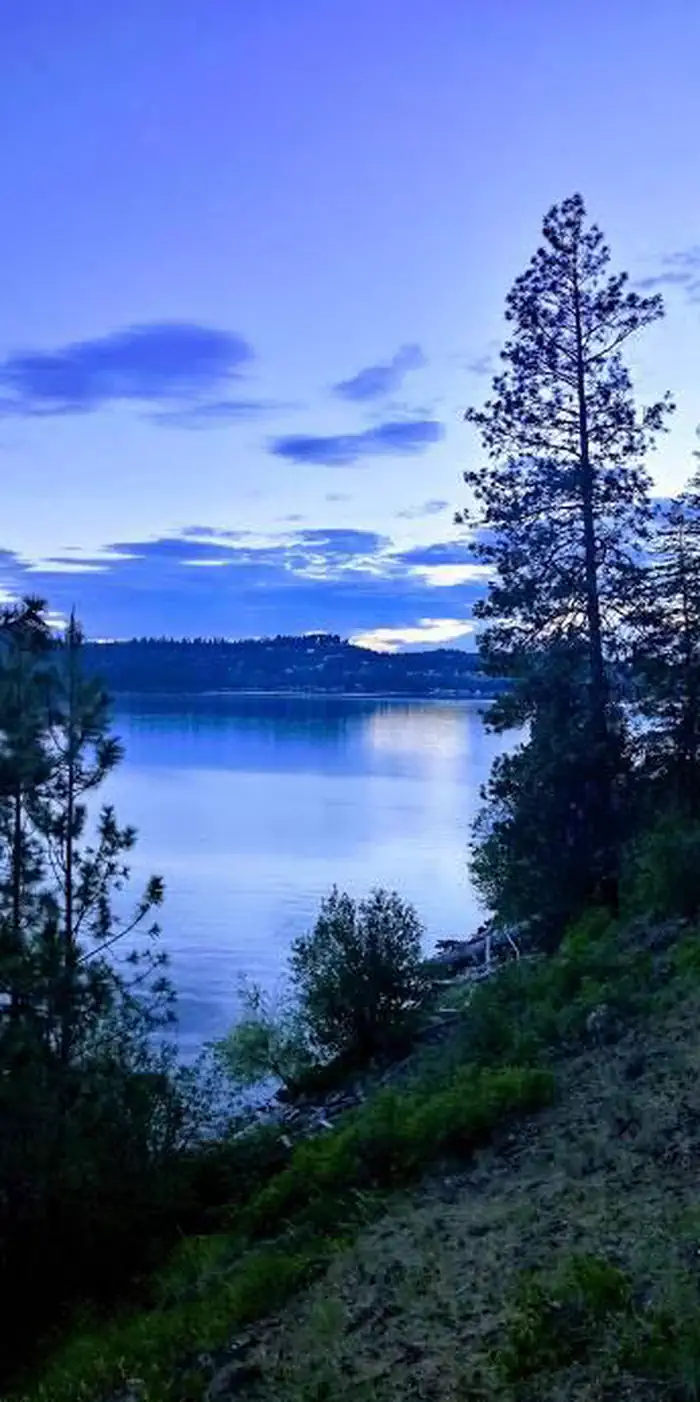 BELL BAY CAMPGROUND photo 5
