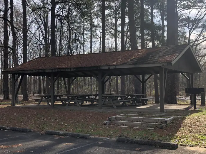 Belmont Park photo 5