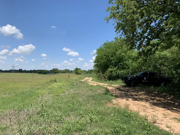 Belton Lake Archery Deer Hunt Permits photo 3
