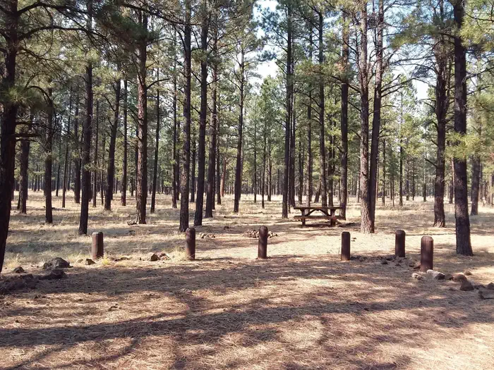 BENNY CREEK GROUP AREA photo 2