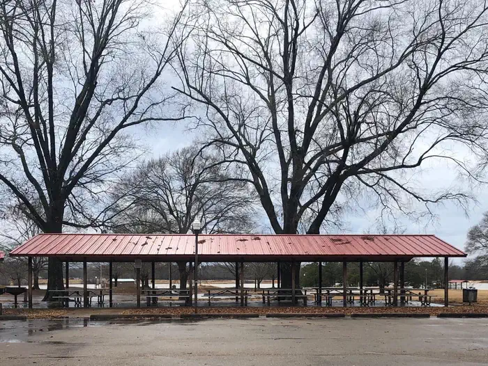 Big Acres photo 2