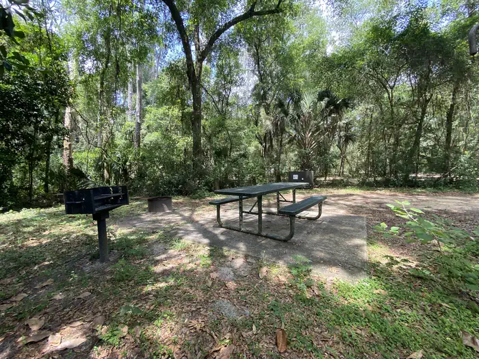 Big Bass Campground (FL) photo