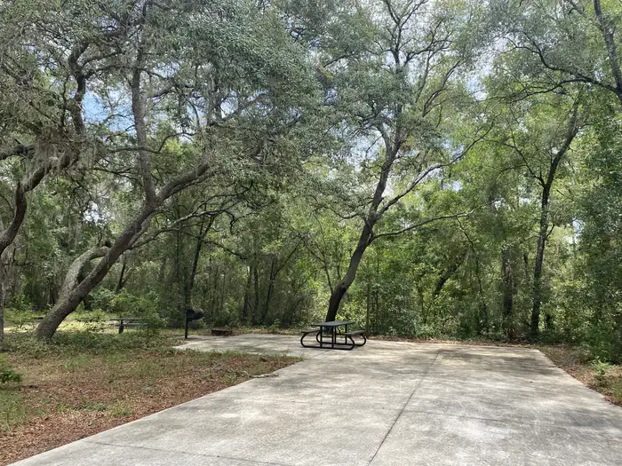 Big Bass Campground (FL) photo 2