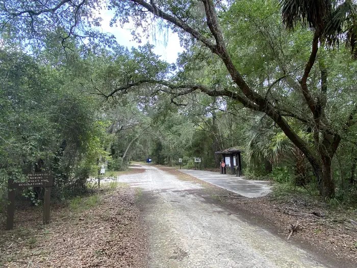 Big Bass Campground (FL) photo 4