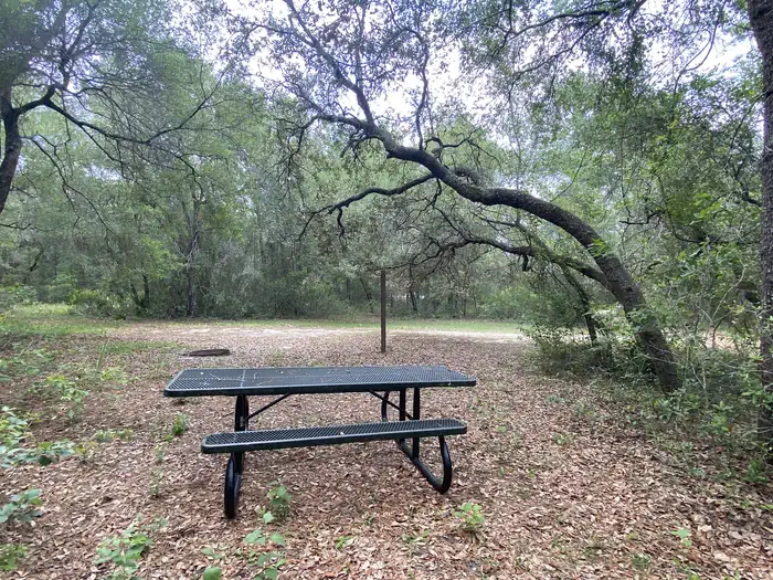 Big Bass Campground (FL) photo 5