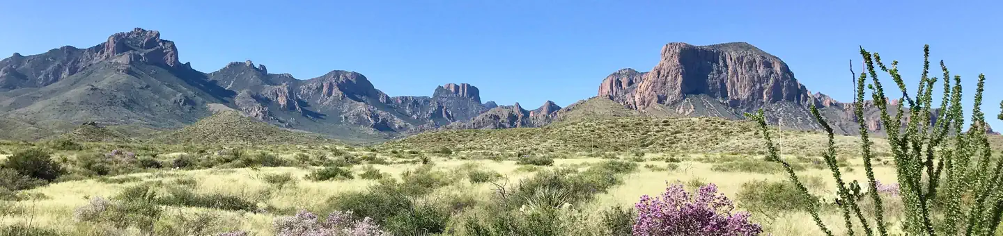 Big Bend Backcountry Camping photo