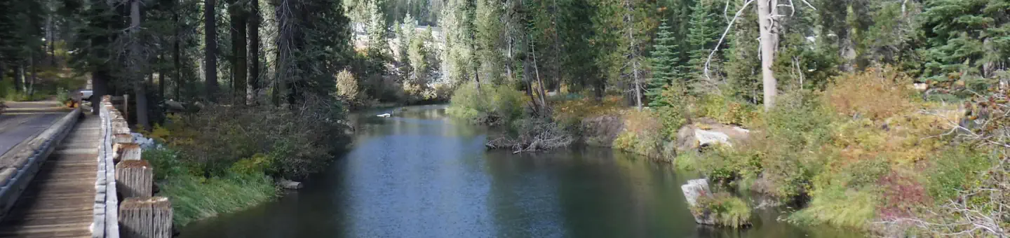 BIG BEND GROUP (YUBA RIVER) photo