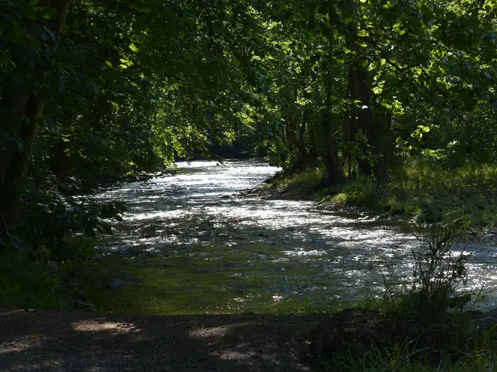 BIG BEND (WV) photo 3