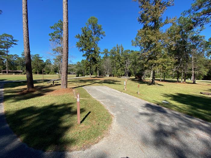 Big Biloxi Recreation Area photo 3