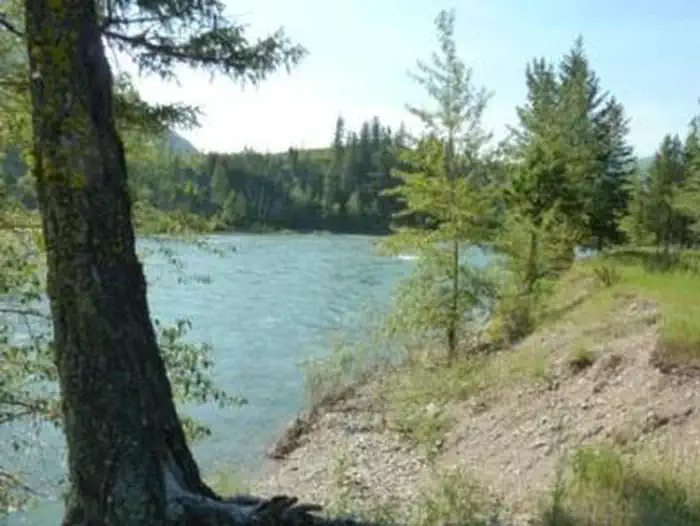 Big Creek Campground (Flathead National Forest, MT) photo 5