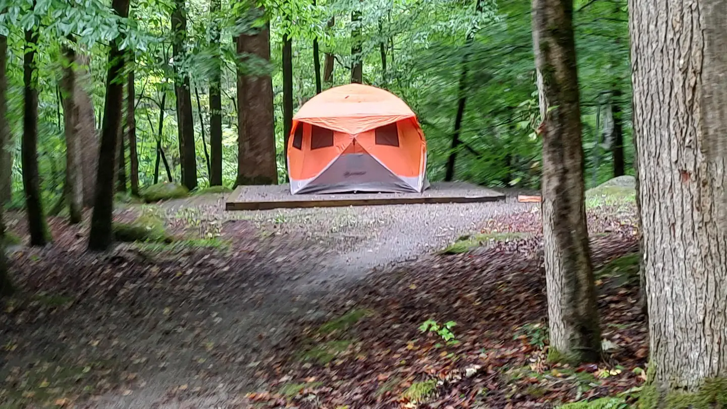 BIG CREEK CAMPGROUND (GREAT SMOKY MOUNTAINS NATIONAL PARK) photo