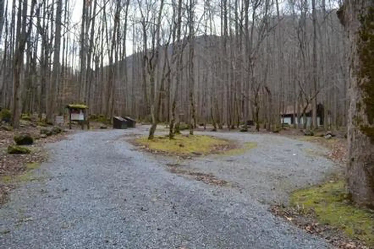 BIG CREEK CAMPGROUND (GREAT SMOKY MOUNTAINS NATIONAL PARK) photo 2