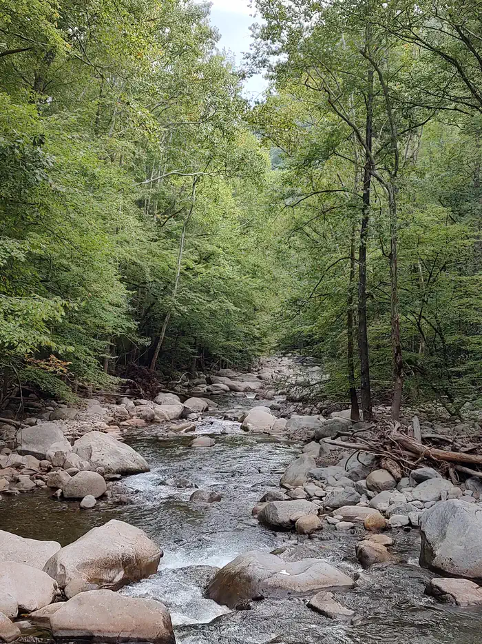 BIG CREEK CAMPGROUND (GREAT SMOKY MOUNTAINS NATIONAL PARK) photo 4