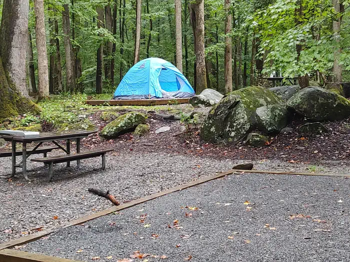 BIG CREEK CAMPGROUND (GREAT SMOKY MOUNTAINS NATIONAL PARK) photo 5