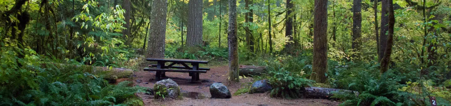 Big Creek (Gifford Pinchot National Forest, WA) photo