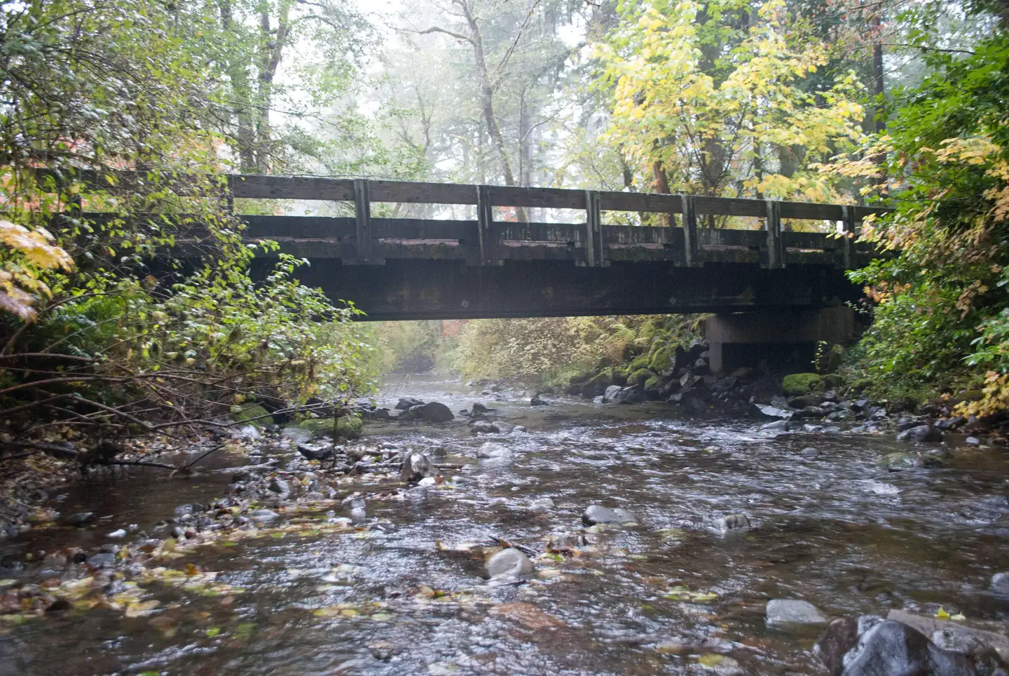 Big Creek (Gifford Pinchot National Forest, WA) photo 2
