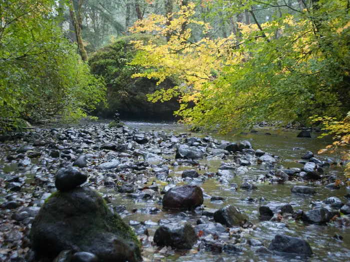 Big Creek (Gifford Pinchot National Forest, WA) photo 3