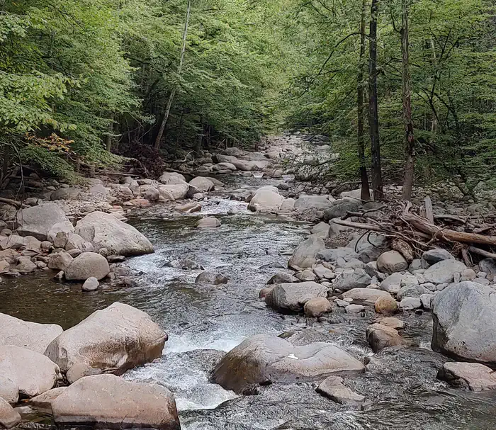 BIG CREEK GROUP CAMP photo