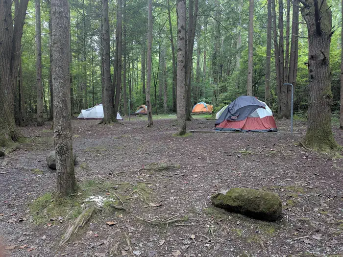 BIG CREEK GROUP CAMP photo 2