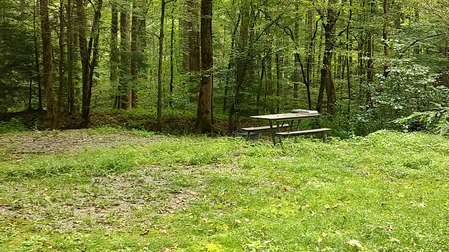 BIG CREEK HORSE CAMP photo