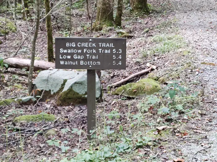 BIG CREEK HORSE CAMP photo 2