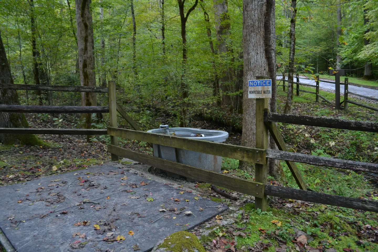 BIG CREEK HORSE CAMP photo 3