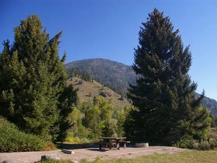 BIG ELK photo 3